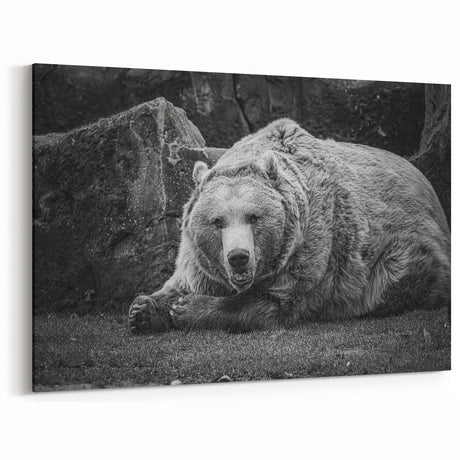 Powerful Bear Wall Art - Captivating Wildlife Photography Canvas