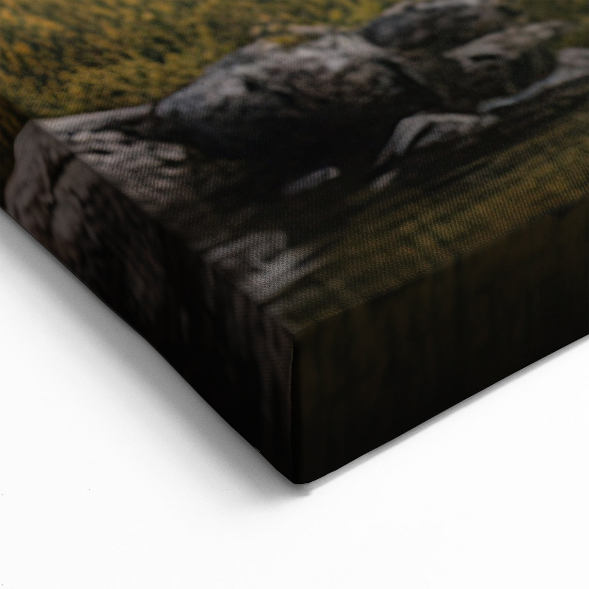 Majestic Bear in Nature - Stunning Wildlife Landscape Canvas Art