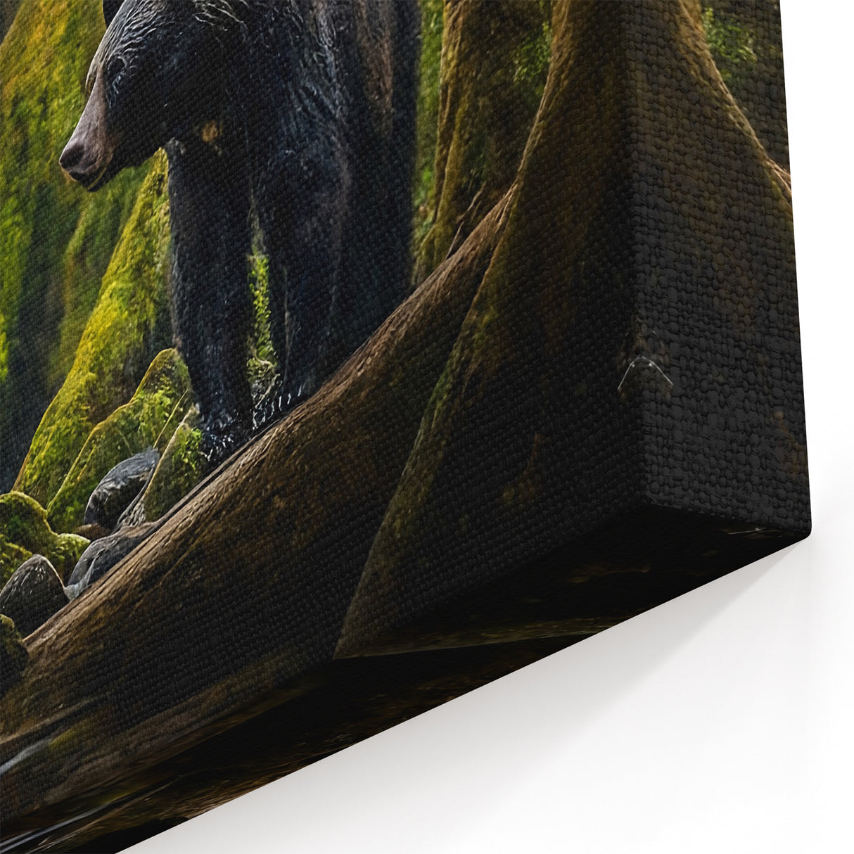 Serene Bear Forest - Stunning Wildlife Photography Canvas Art