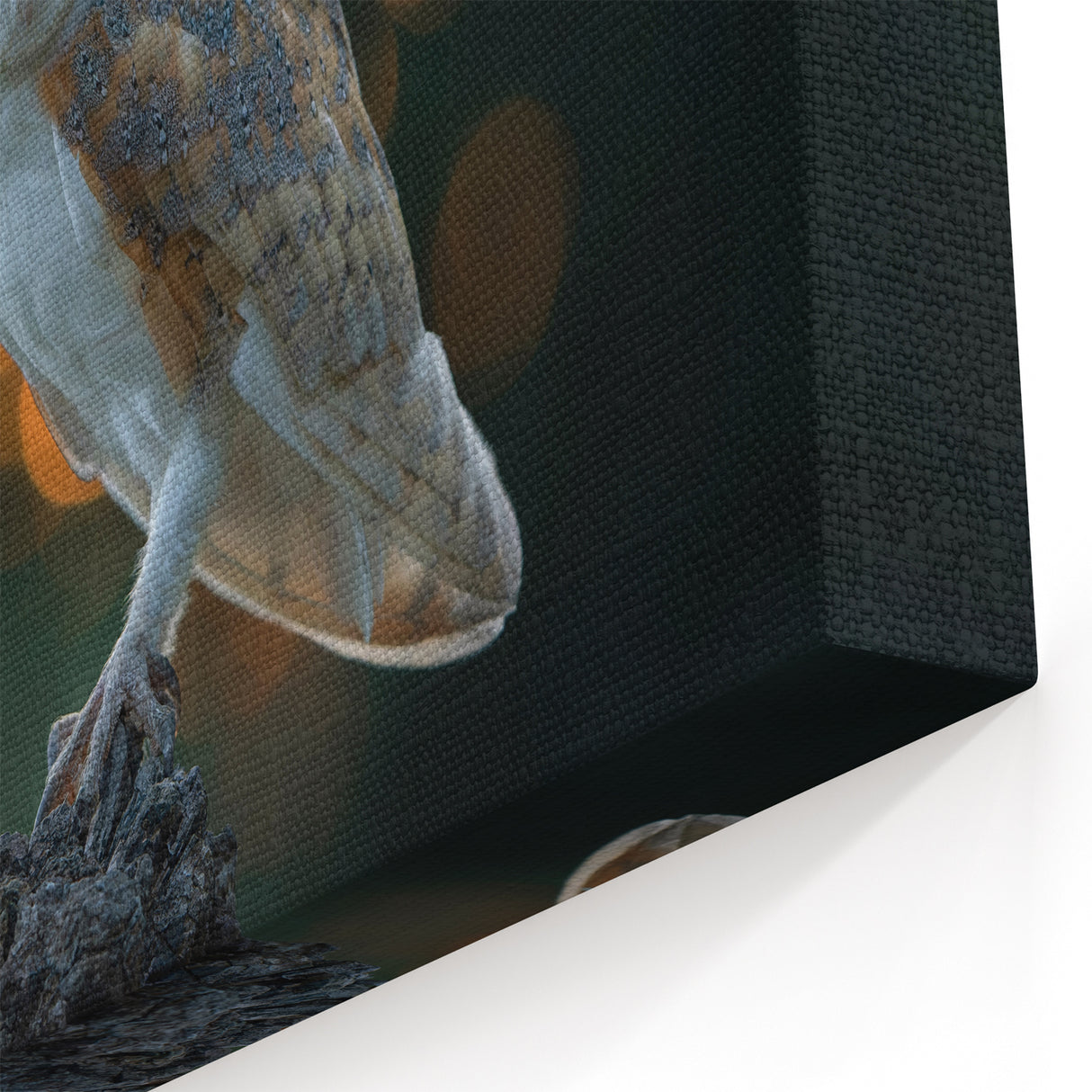 Enchanting Owl Wall Art - Majestic Birds of Prey in Twilight Canvas
