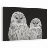 Elegant Owl Duo Wall Art - Majestic Black and White Birds of Prey Canvas