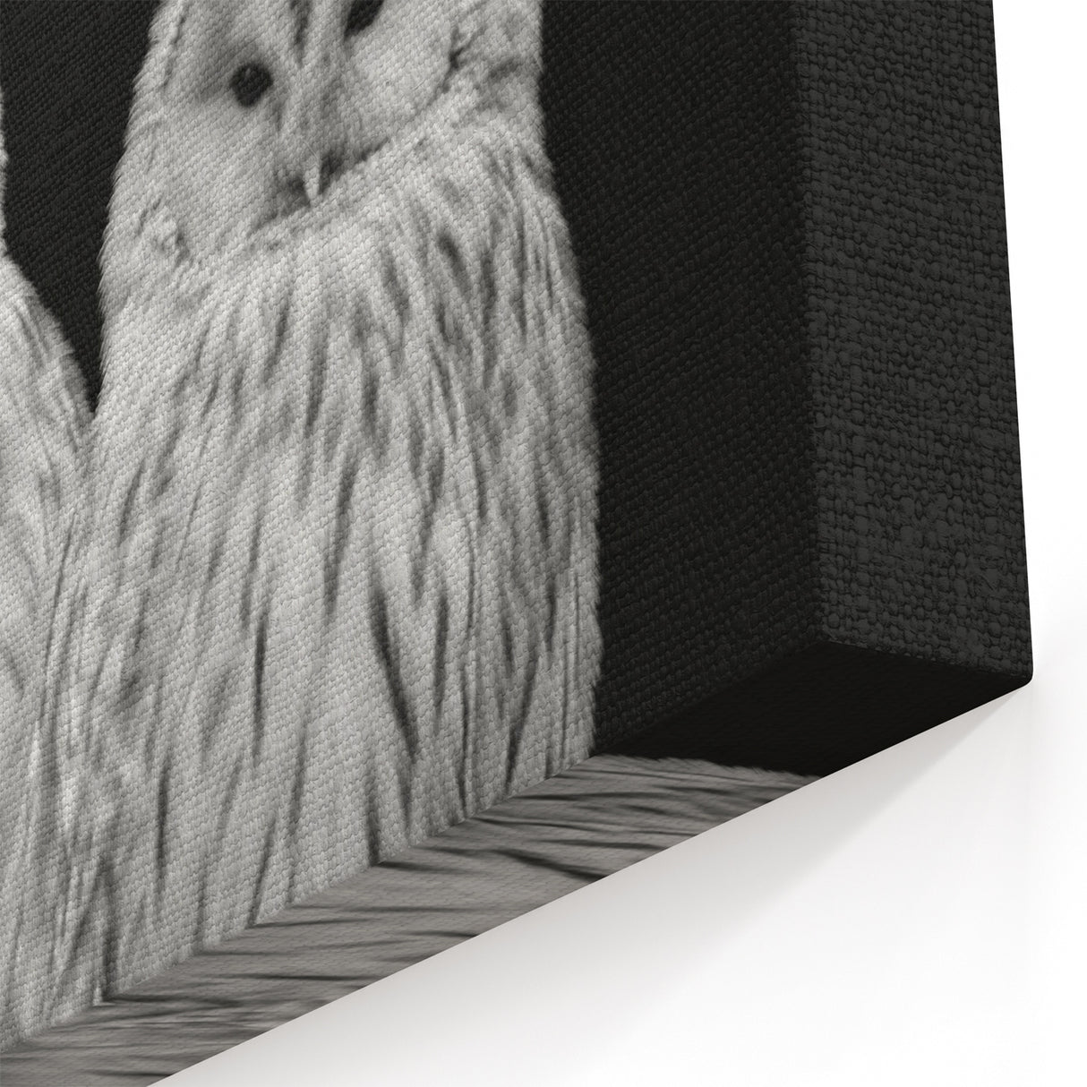 Elegant Owl Duo Wall Art - Majestic Black and White Birds of Prey Canvas
