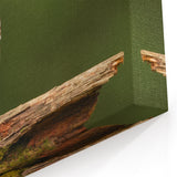 Charming Owl Wall Art - Majestic Birds of Prey in Nature Canvas Print
