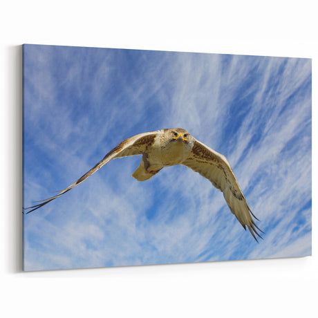 Majestic Birds of Prey Photography - Soaring Eagle in Blue Sky Canvas