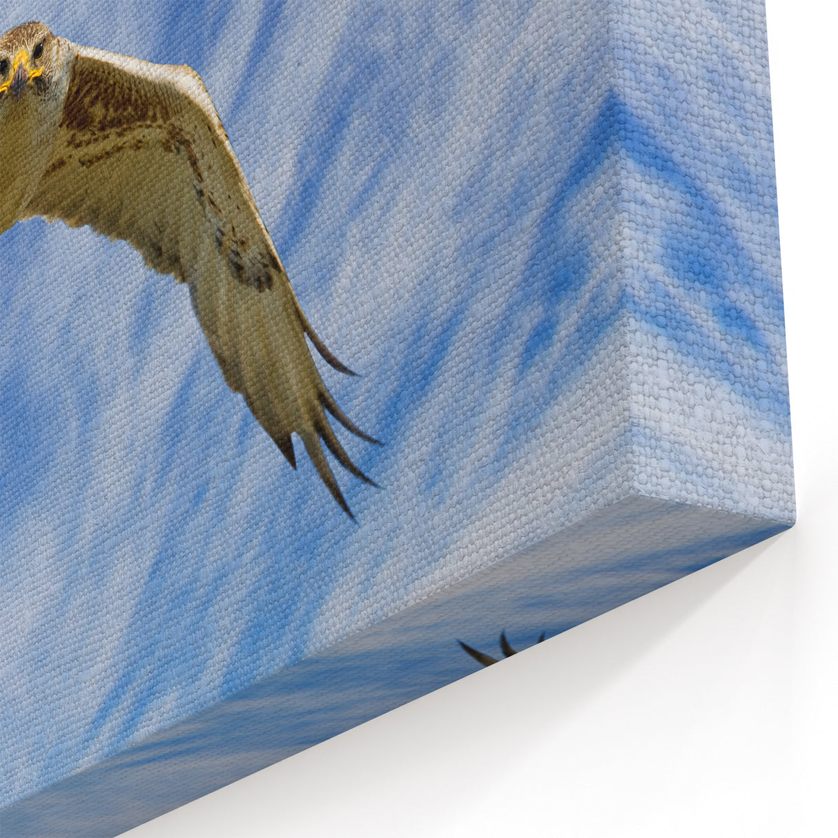 Majestic Birds of Prey Photography - Soaring Eagle in Blue Sky Canvas