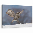 Graceful Owl in Winter - Majestic Birds of Prey Wall Art Photography