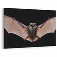 Majestic Bat Wildlife Art - Stunning Night Bat Photography Wall Decor