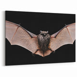 Majestic Bat Wildlife Art - Stunning Night Bat Photography Wall Decor