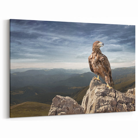 Eagle on Mountain Peak - Majestic Birds of Prey Wall Art Landscape