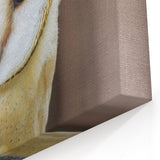 Graceful Barn Owl Portrait - Elegant Birds of Prey Wall Art