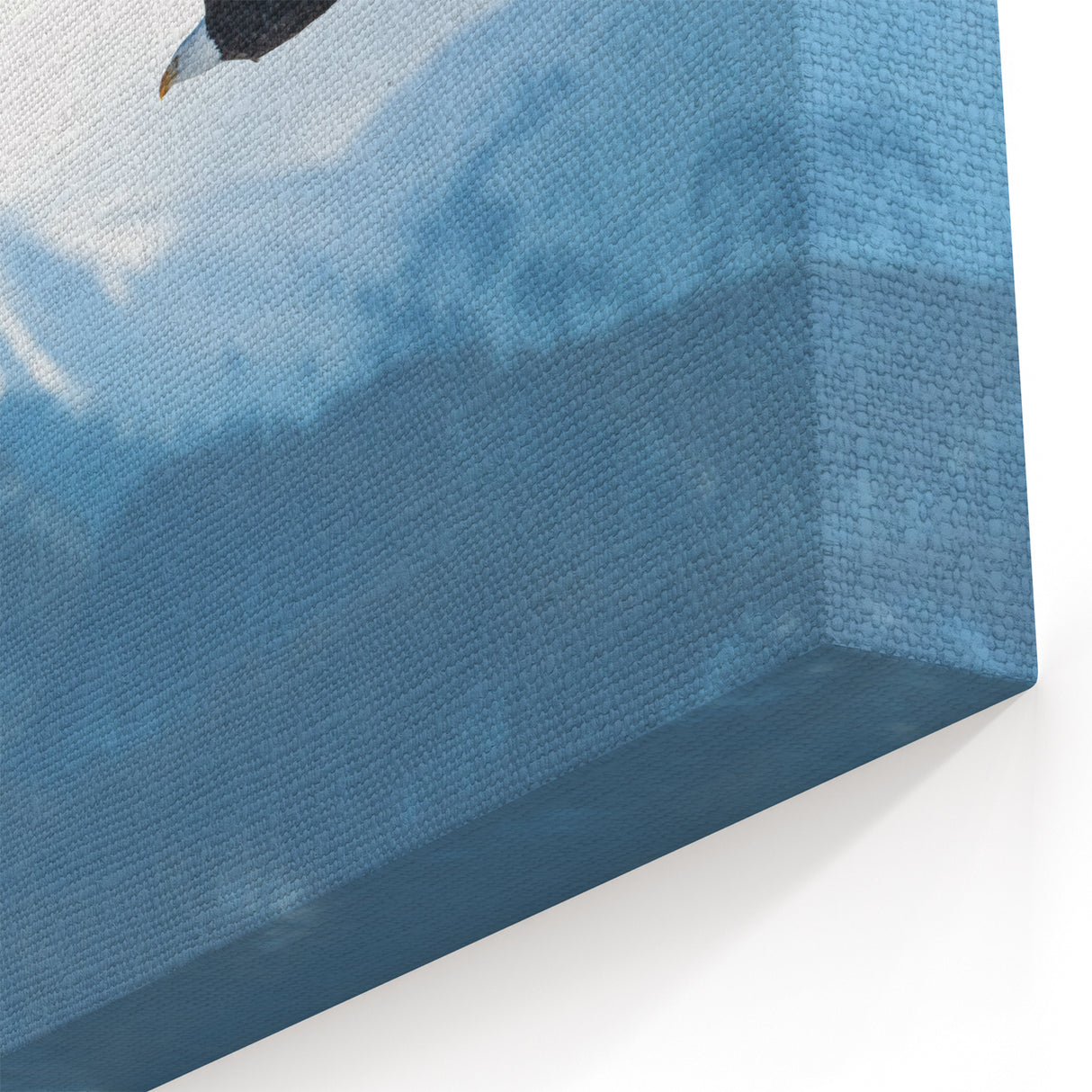 Soaring Eagle Over Mountains - Majestic Birds of Prey Wall Art