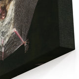 Majestic Bat Close-Up - Stunning Wildlife Photography Wall Art Decor