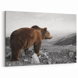 Majestic Brown Bear Wall Art - Stunning Wildlife Photography Canvas Print