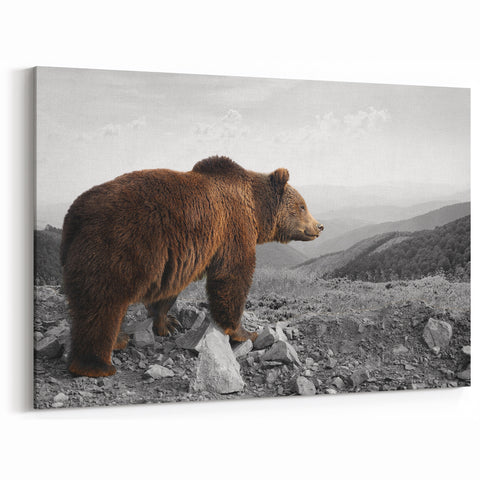 Majestic Brown Bear Wall Art - Stunning Wildlife Photography Canvas Print