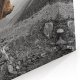 Majestic Brown Bear Wall Art - Stunning Wildlife Photography Canvas Print