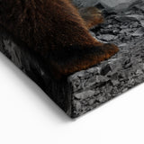 Majestic Brown Bear Wall Art - Stunning Wildlife Photography Canvas Print