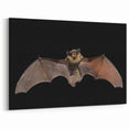 Stunning Bat Wildlife Art - Majestic Bat in Flight Photography Decor