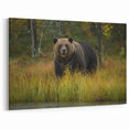 Graceful Brown Bear in the Wild - Elegant Wildlife Photography Canvas Art