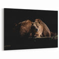 Dramatic Brown Bear Art - Striking Wildlife Photography on Canvas