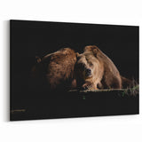 Dramatic Brown Bear Art - Striking Wildlife Photography on Canvas