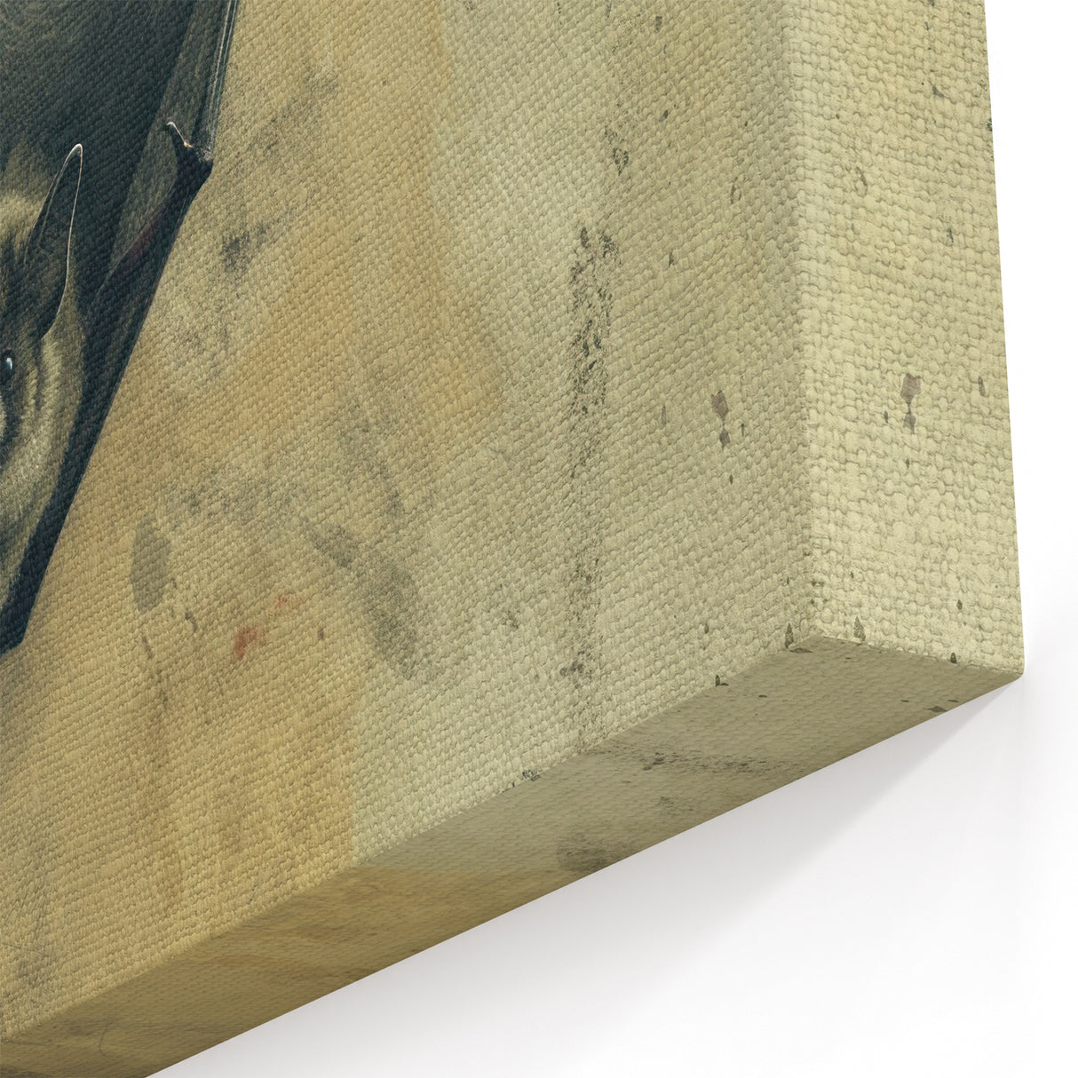 Artistic Bat Wall Decor - Majestic Wildlife Bat Canvas for Modern Homes