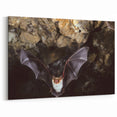 Wildlife Bat in Cave - Stunning Bat Photography Wall Art for Nature Lovers