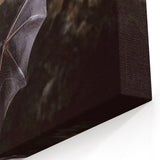 Wildlife Bat in Cave - Stunning Bat Photography Wall Art for Nature Lovers