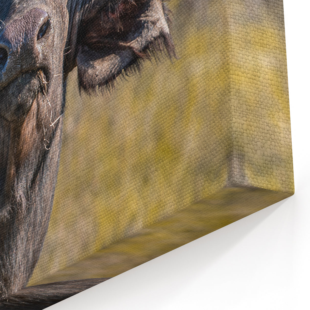 Buffalo Canvas Art – Powerful Bison Close-Up for Rustic Decor