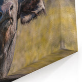 Buffalo Canvas Art – Powerful Bison Close-Up for Rustic Decor
