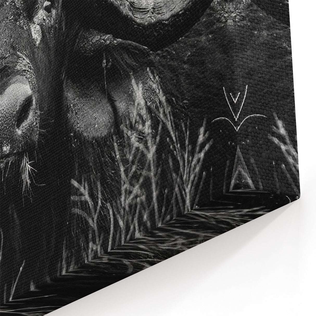 Buffalo Wall Art – Striking Black and White Bison Photography