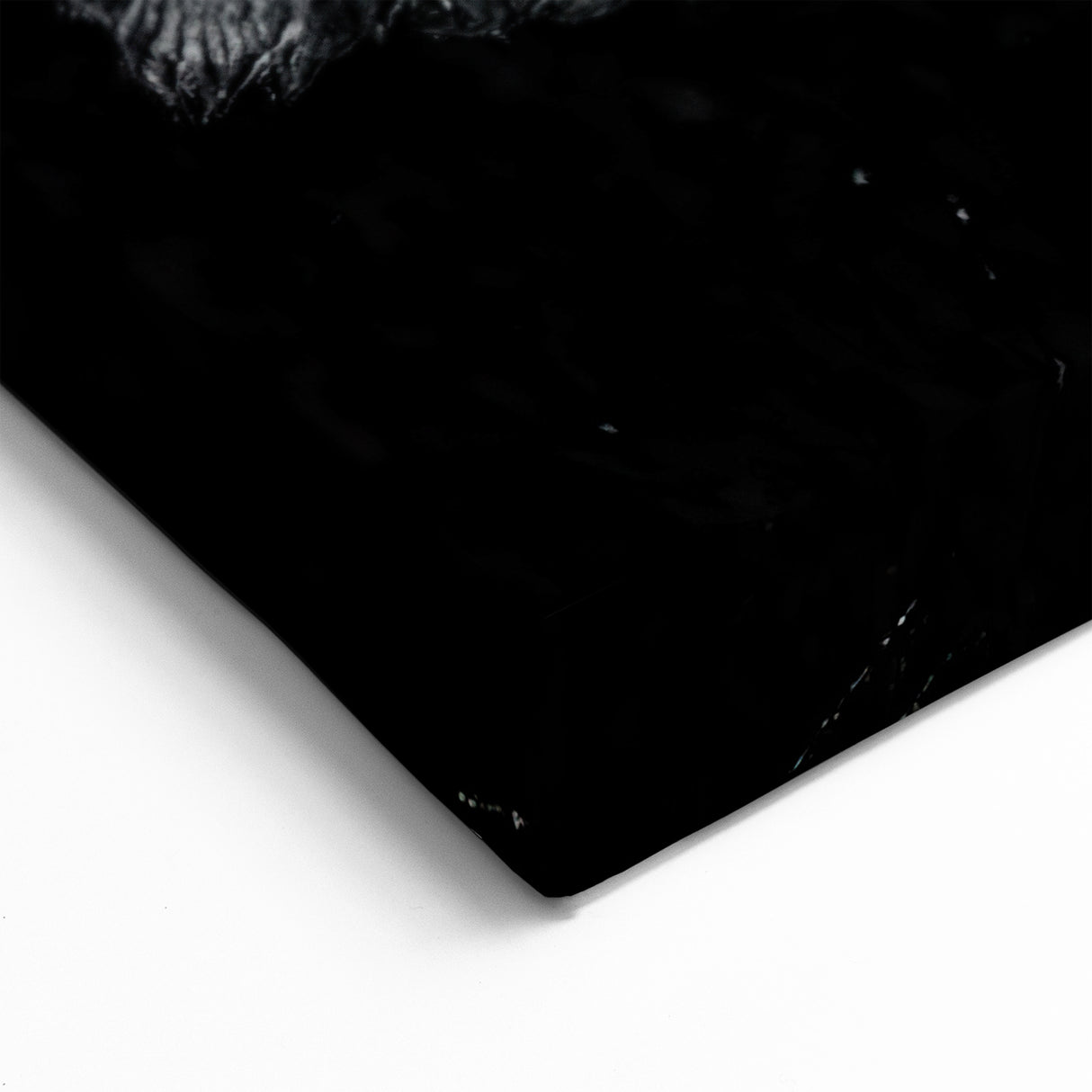 Buffalo Wall Art – Striking Black and White Bison Photography