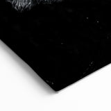 Buffalo Wall Art – Striking Black and White Bison Photography