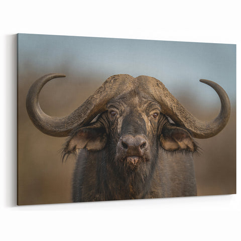 Bison Wall Art – Majestic Buffalo Close-Up for Rustic Decor