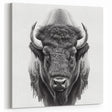 Bison Canvas Art – Detailed Buffalo Illustration for Modern Spaces