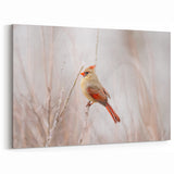 Graceful Female Cardinal Wall Art - Wildlife Elegance in Soft Hues