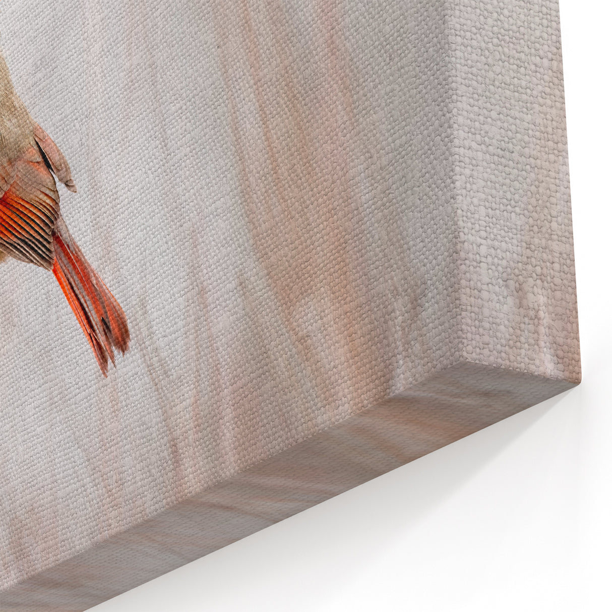 Graceful Female Cardinal Wall Art - Wildlife Elegance in Soft Hues