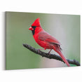 Majestic Cardinal Wall Art - Vibrant Wildlife Beauty on a Branch