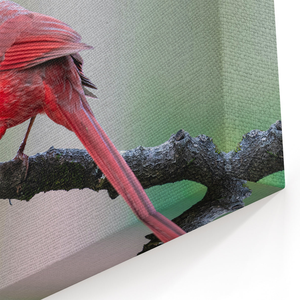 Majestic Cardinal Wall Art - Vibrant Wildlife Beauty on a Branch