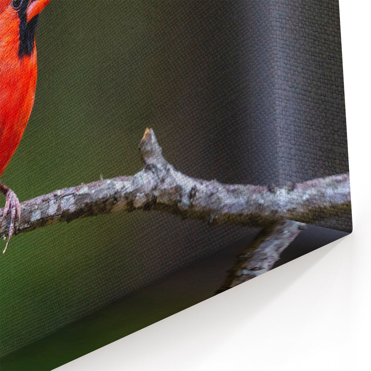 Elegant Cardinal Wall Art - Wildlife Beauty Perched on a Branch