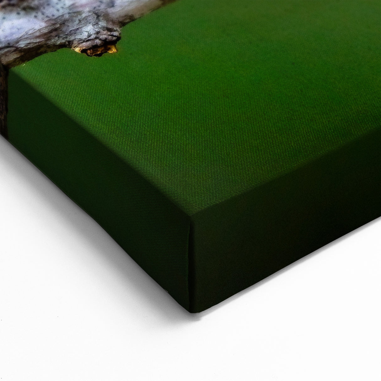 Elegant Cardinal Wall Art - Wildlife Beauty Perched on a Branch