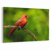 Vibrant Cardinal Wall Art - Nature's Elegance on a Twisted Vine