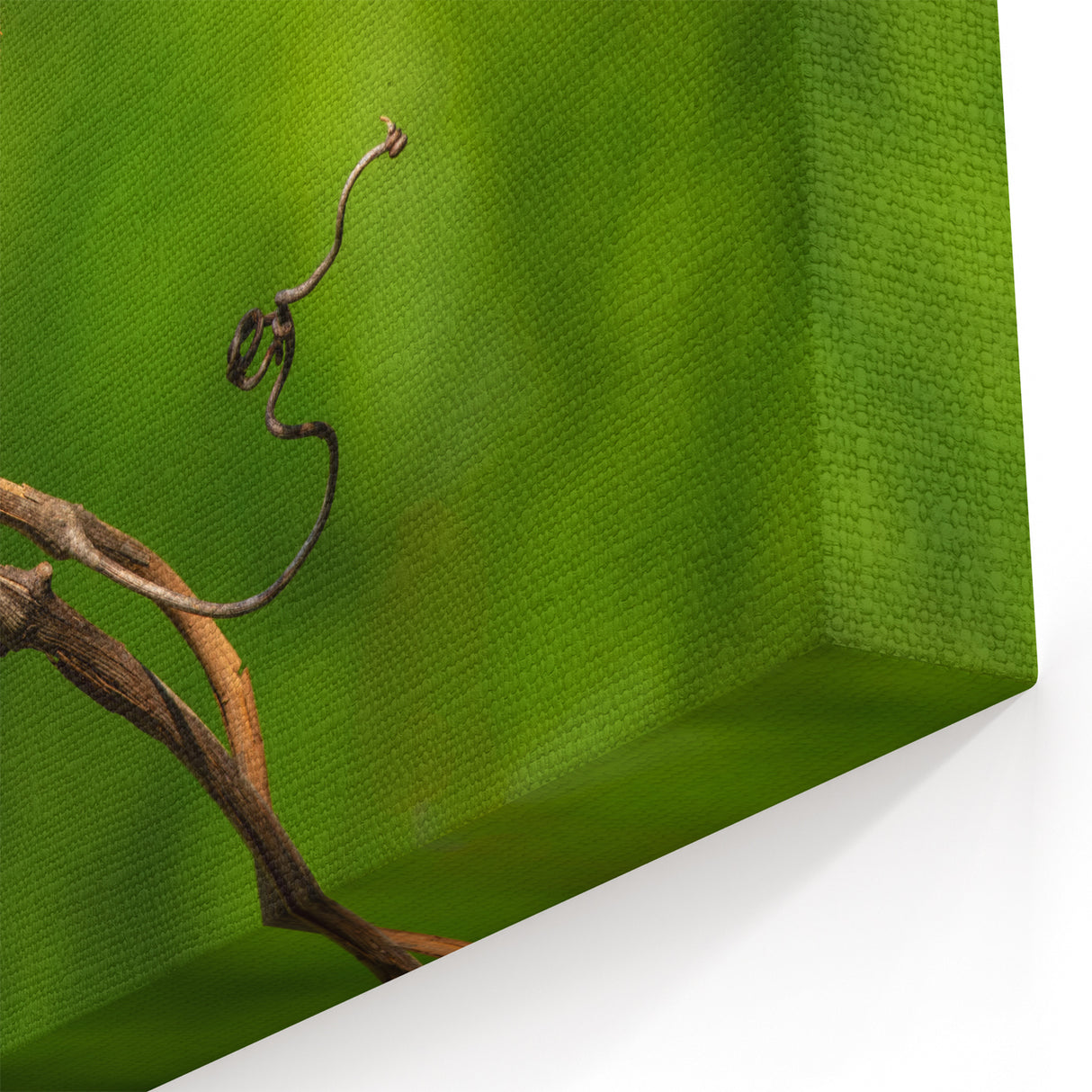 Vibrant Cardinal Wall Art - Nature's Elegance on a Twisted Vine