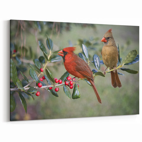Majestic Cardinal Pair Wall Art - Nature's Beauty with Berries
