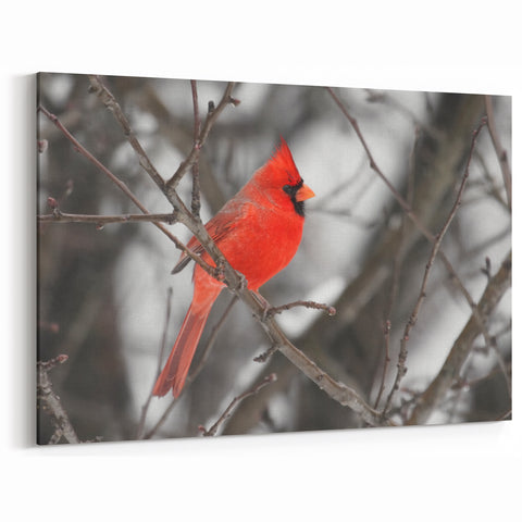 Winter Cardinal Wall Art - Vibrant Red Beauty in a Snowy Scene