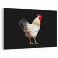Graceful Farm Rooster - Stunning Chicken Wall Art for Rustic Decor