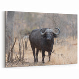 Buffalo in the Wild – Rustic Bison Photography for Nature Lovers