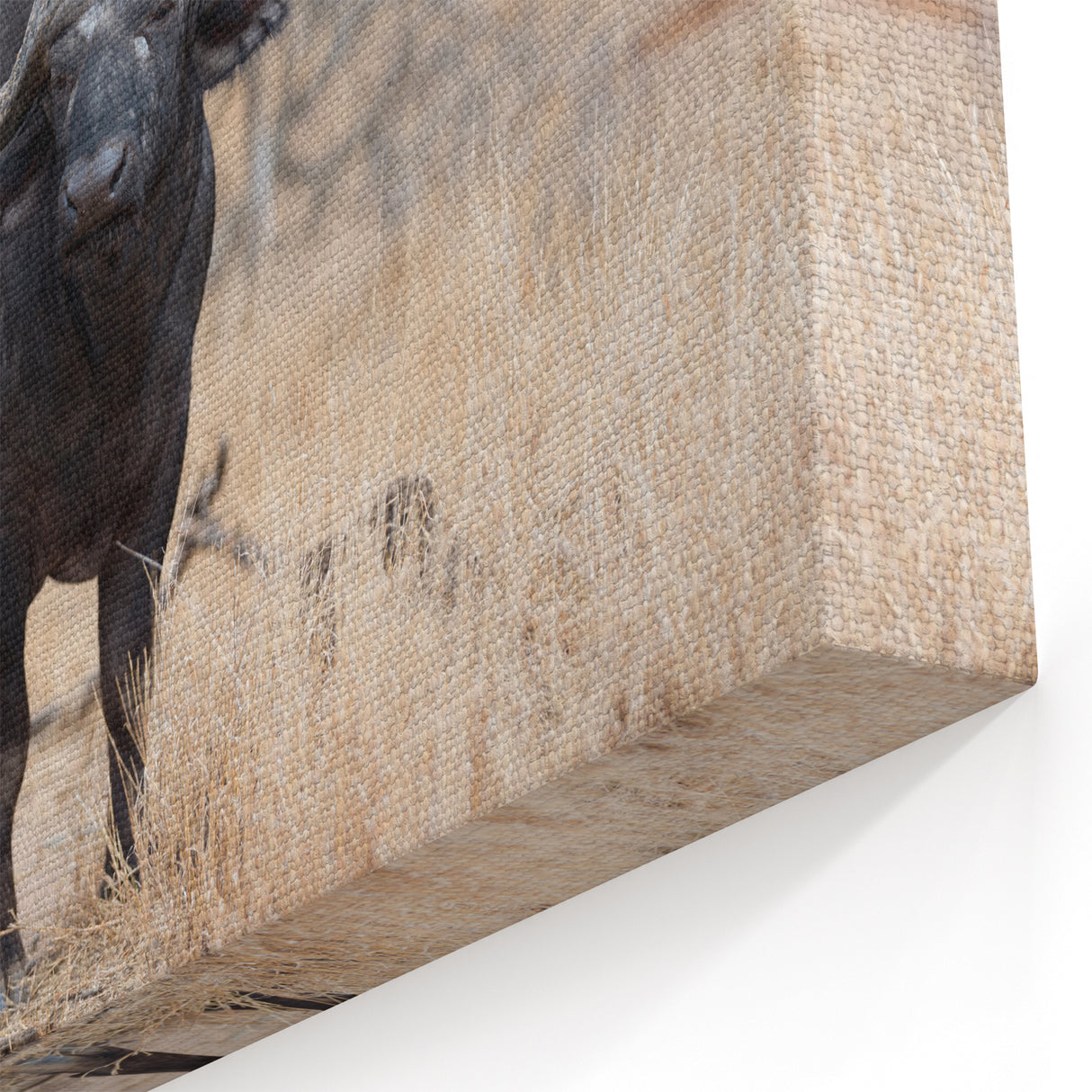 Buffalo in the Wild – Rustic Bison Photography for Nature Lovers