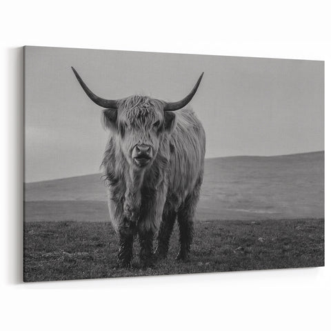 Highland Cow in Black and White – Rustic Wall Art for Modern Decor
