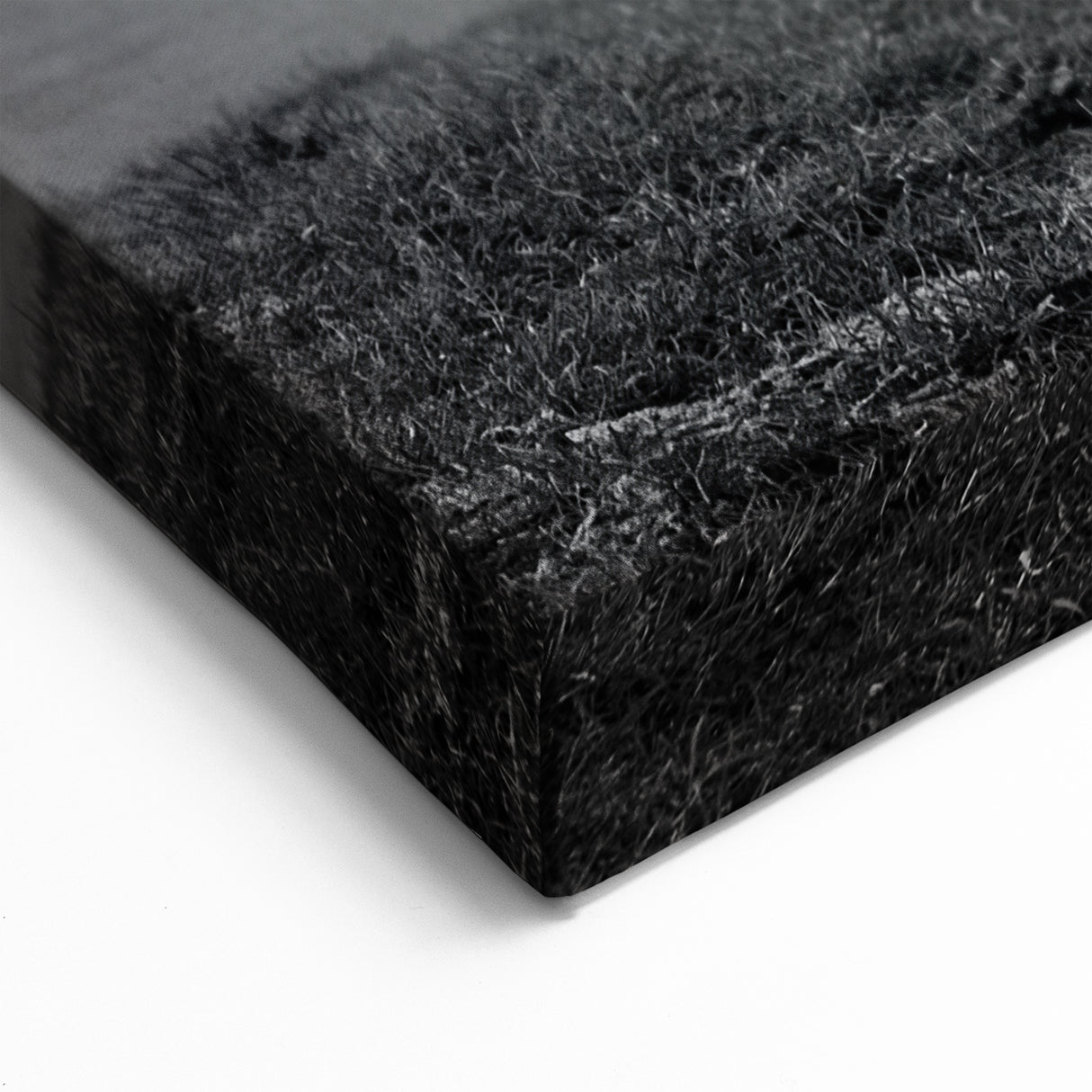 Highland Cow in Black and White – Rustic Wall Art for Modern Decor