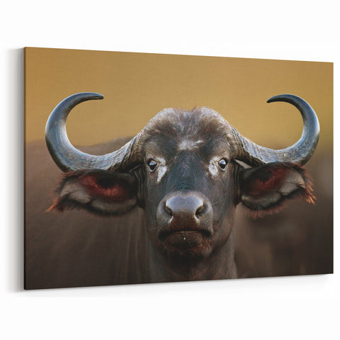 Bold Buffalo Wall Art - Bison Canvas Print for Rustic Home Decor